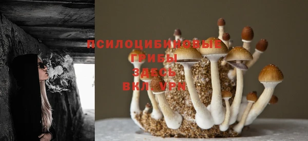 ешки Алексин